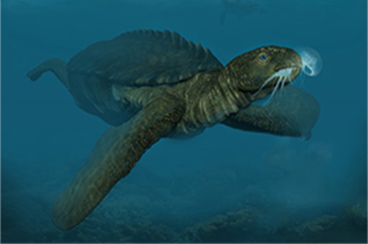 Archelon
